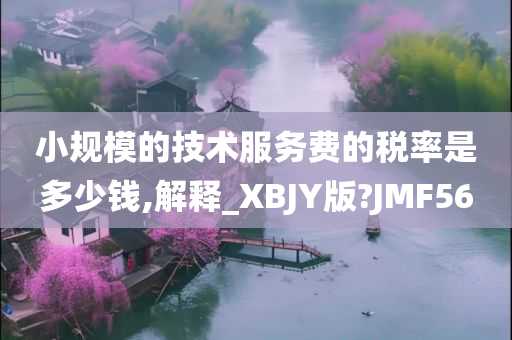 小规模的技术服务费的税率是多少钱,解释_XBJY版?JMF56