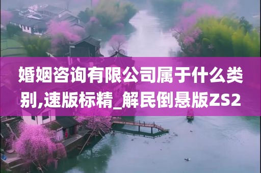 婚姻咨询有限公司属于什么类别,速版标精_解民倒悬版ZS2