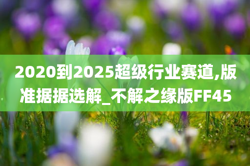 2020到2025超级行业赛道,版准据据选解_不解之缘版FF45