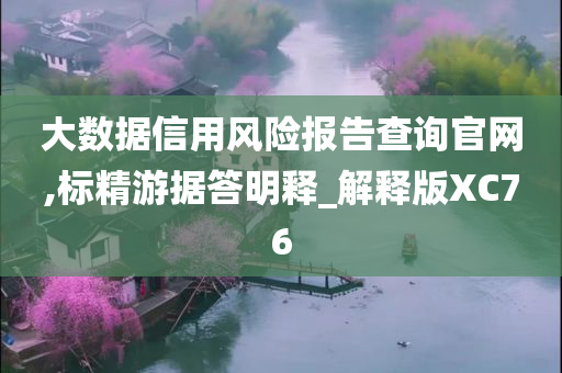 大数据信用风险报告查询官网,标精游据答明释_解释版XC76