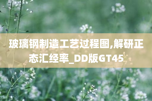 玻璃钢制造工艺过程图,解研正态汇经率_DD版GT45