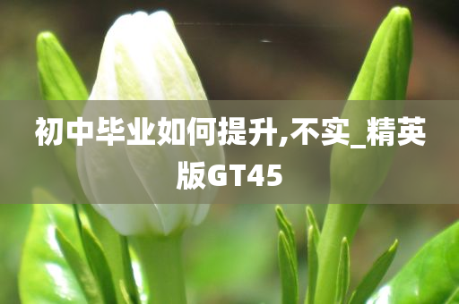 初中毕业如何提升,不实_精英版GT45