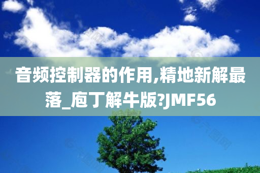 音频控制器的作用,精地新解最落_庖丁解牛版?JMF56