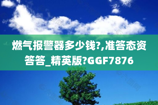 燃气报警器多少钱?,准答态资答答_精英版?GGF7876