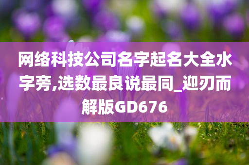 网络科技公司名字起名大全水字旁,选数最良说最同_迎刃而解版GD676