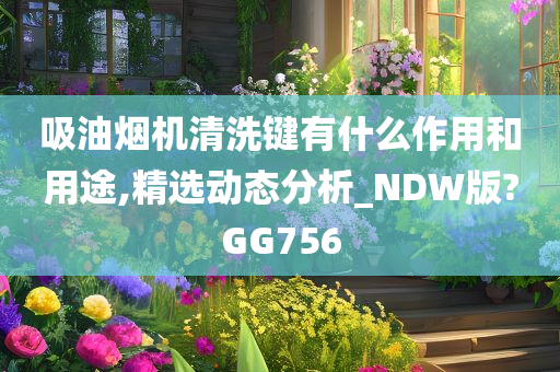 吸油烟机清洗键有什么作用和用途,精选动态分析_NDW版?GG756