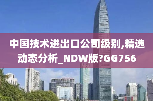 中国技术进出口公司级别,精选动态分析_NDW版?GG756