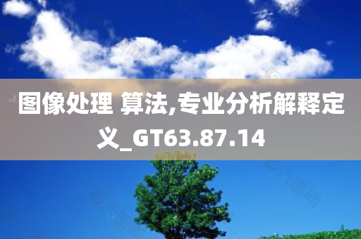 图像处理 算法,专业分析解释定义_GT63.87.14