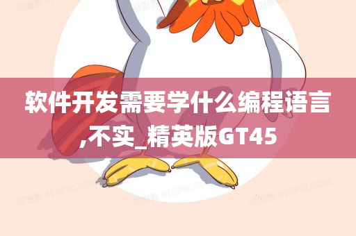 软件开发需要学什么编程语言,不实_精英版GT45