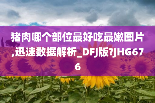 猪肉哪个部位最好吃最嫩图片,迅速数据解析_DFJ版?JHG676