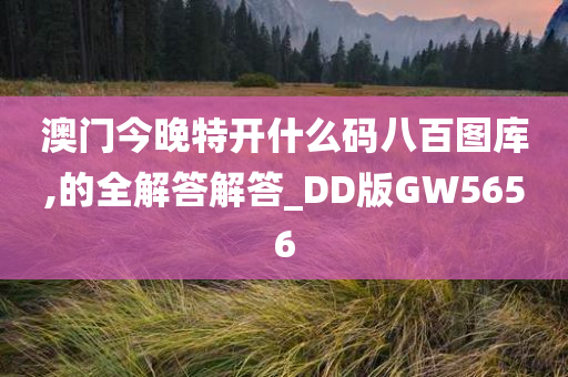 澳门今晚特开什么码八百图库,的全解答解答_DD版GW5656