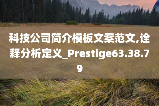 科技公司简介模板文案范文,诠释分析定义_Prestige63.38.79