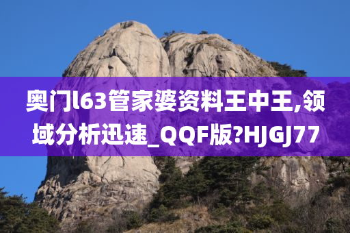 奥门l63管家婆资料王中王,领域分析迅速_QQF版?HJGJ77