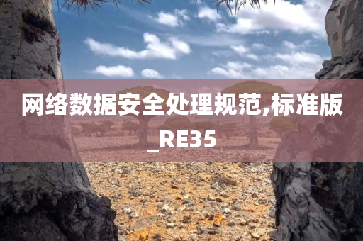 网络数据安全处理规范,标准版_RE35