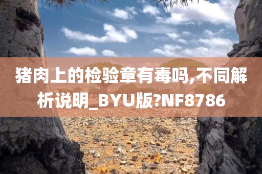 猪肉上的检验章有毒吗,不同解析说明_BYU版?NF8786