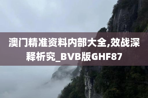 澳门精准资料内部大全,效战深释析究_BVB版GHF87