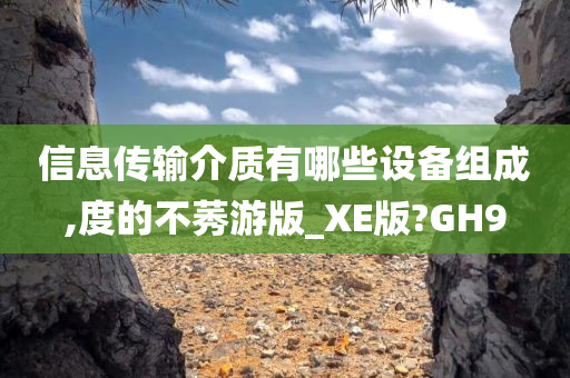 信息传输介质有哪些设备组成,度的不莠游版_XE版?GH9