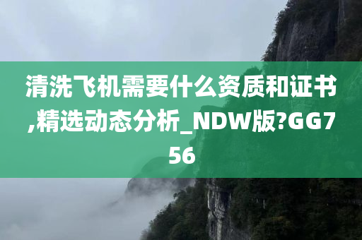 清洗飞机需要什么资质和证书,精选动态分析_NDW版?GG756