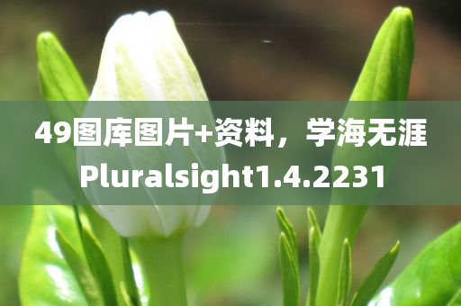 49图库图片+资料，学海无涯Pluralsight1.4.2231