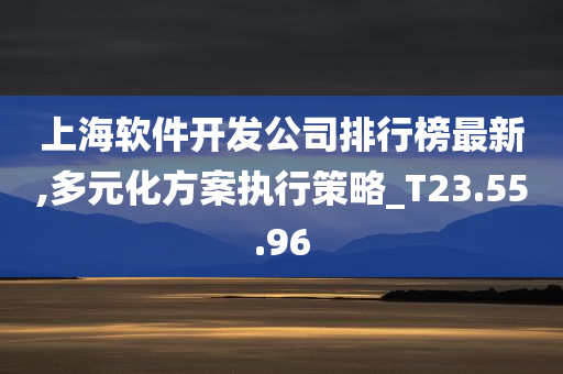 上海软件开发公司排行榜最新,多元化方案执行策略_T23.55.96