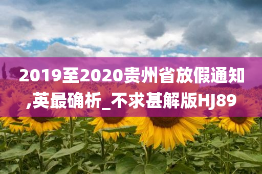 2019至2020贵州省放假通知,英最确析_不求甚解版HJ89