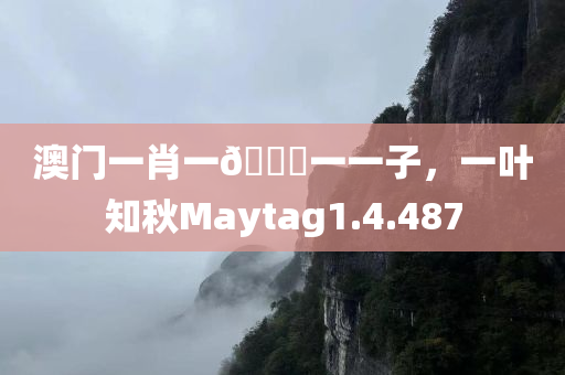 澳门一肖一🐎一一子，一叶知秋Maytag1.4.487