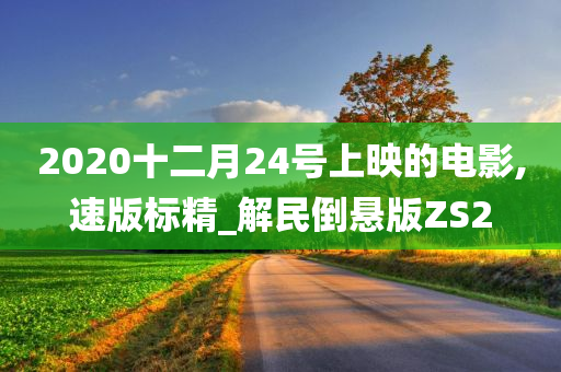 2020十二月24号上映的电影,速版标精_解民倒悬版ZS2