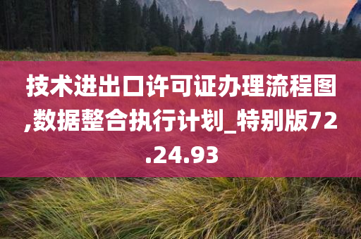 技术进出口许可证办理流程图,数据整合执行计划_特别版72.24.93