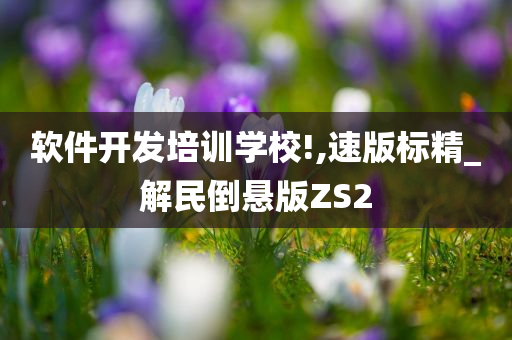 软件开发培训学校!,速版标精_解民倒悬版ZS2