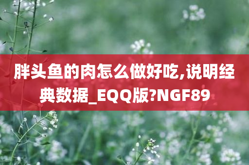 胖头鱼的肉怎么做好吃,说明经典数据_EQQ版?NGF89