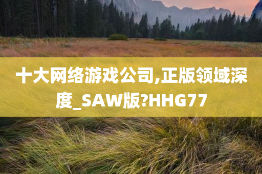 十大网络游戏公司,正版领域深度_SAW版?HHG77