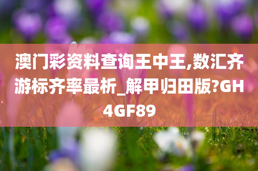 澳门彩资料查询王中王,数汇齐游标齐率最析_解甲归田版?GH4GF89