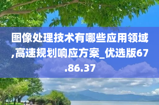 图像处理技术有哪些应用领域,高速规划响应方案_优选版67.86.37