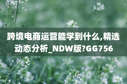 跨境电商运营能学到什么,精选动态分析_NDW版?GG756