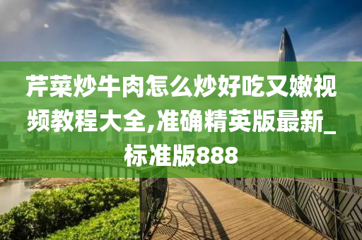 芹菜炒牛肉怎么炒好吃又嫩视频教程大全,准确精英版最新_标准版888