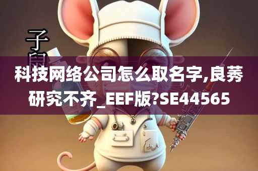 科技网络公司怎么取名字,良莠研究不齐_EEF版?SE44565