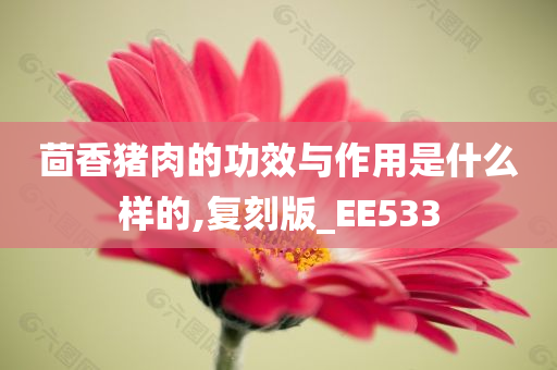 茴香猪肉的功效与作用是什么样的,复刻版_EE533