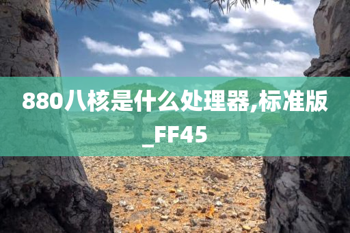 880八核是什么处理器,标准版_FF45