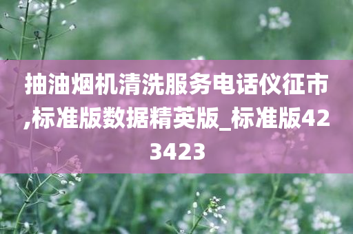 抽油烟机清洗服务电话仪征市,标准版数据精英版_标准版423423