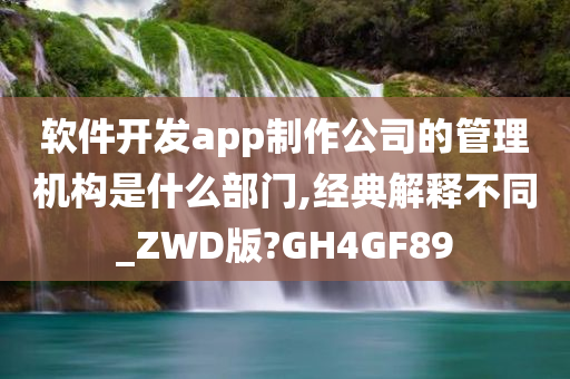 软件开发app制作公司的管理机构是什么部门,经典解释不同_ZWD版?GH4GF89