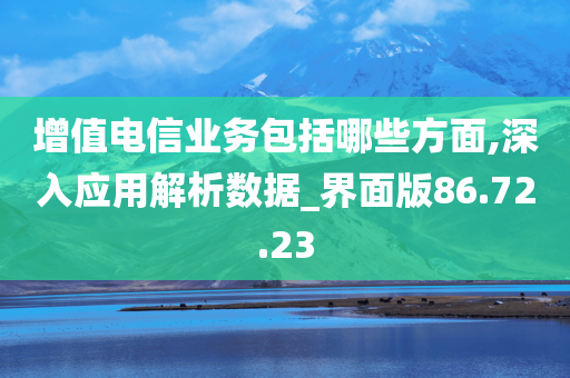 增值电信业务包括哪些方面,深入应用解析数据_界面版86.72.23