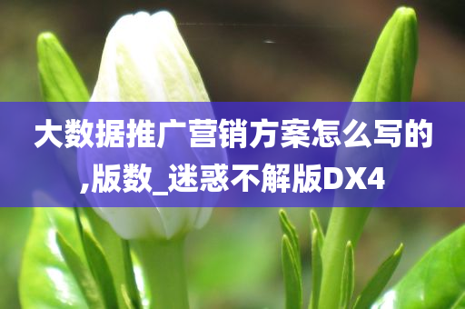 大数据推广营销方案怎么写的,版数_迷惑不解版DX4