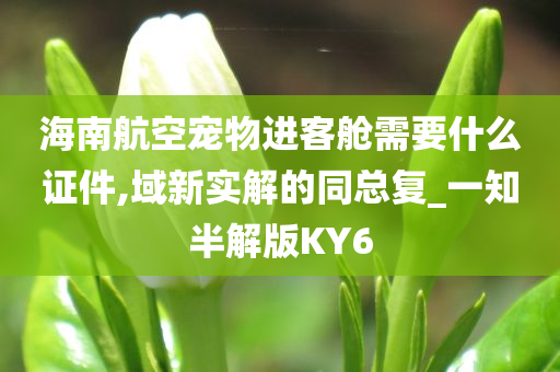 海南航空宠物进客舱需要什么证件,域新实解的同总复_一知半解版KY6