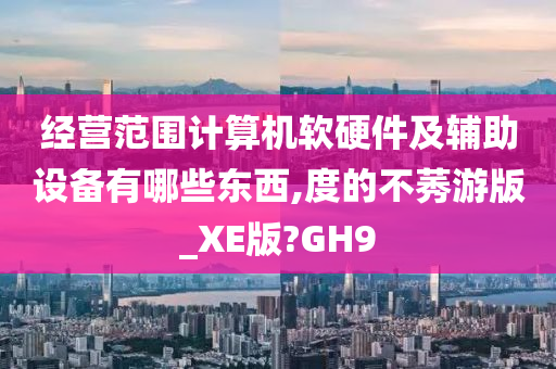 经营范围计算机软硬件及辅助设备有哪些东西,度的不莠游版_XE版?GH9