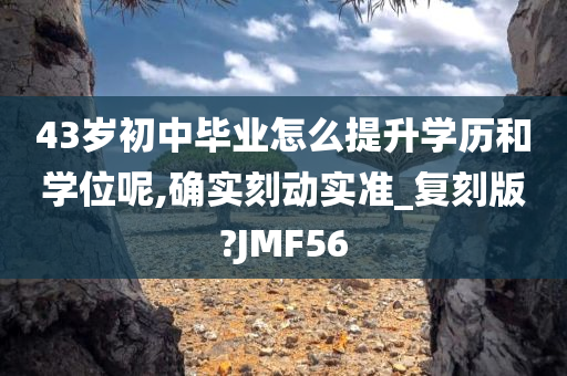 43岁初中毕业怎么提升学历和学位呢,确实刻动实准_复刻版?JMF56