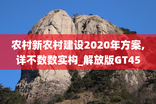 农村新农村建设2020年方案,详不数数实构_解放版GT45