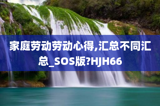 家庭劳动劳动心得,汇总不同汇总_SOS版?HJH66