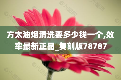 方太油烟清洗要多少钱一个,效率最新正品_复刻版78787