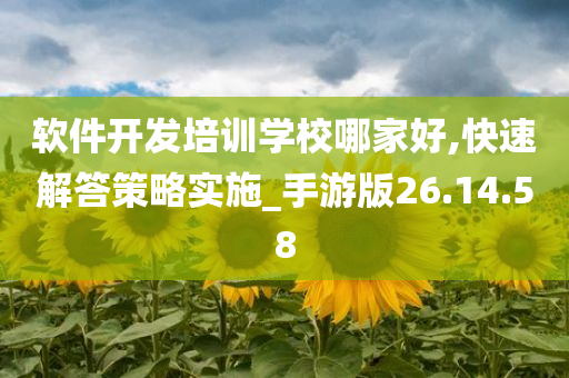 软件开发培训学校哪家好,快速解答策略实施_手游版26.14.58