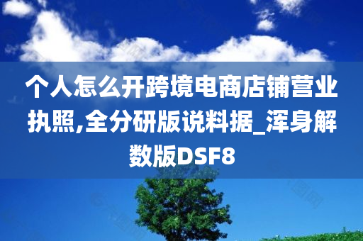 个人怎么开跨境电商店铺营业执照,全分研版说料据_浑身解数版DSF8